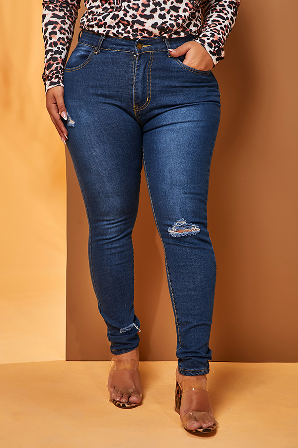 Lovely Chic Skinny Blue Plus Size Jeanslw Fashion Online For Women Affordable Womens