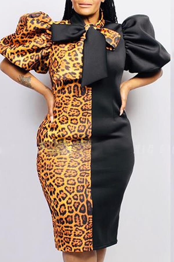 leopard print knee length dress